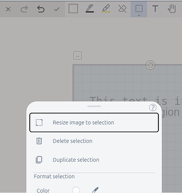 screenshot: resize image to selection highlighted in selection menu